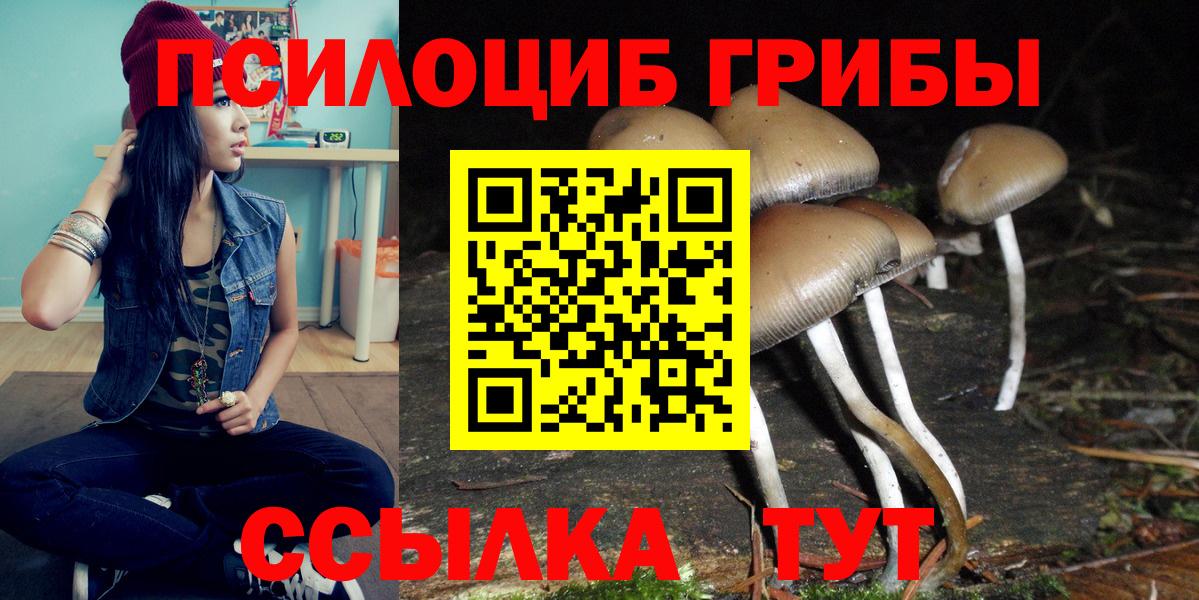 Сарапул  Псилоцибиновые грибы MAGIC MUSHROOMS  Вход с VPN 