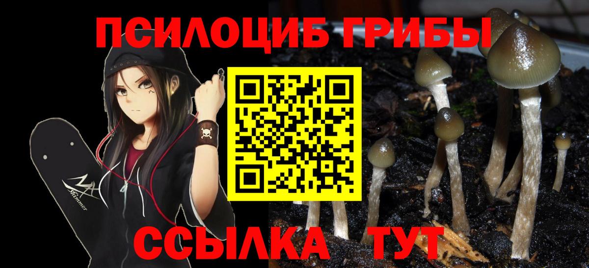 Псилоцибиновые грибы Magic Shrooms Сарапул